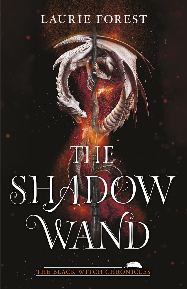 Cover image for The Shadow Wand, isbn: 9781489298775