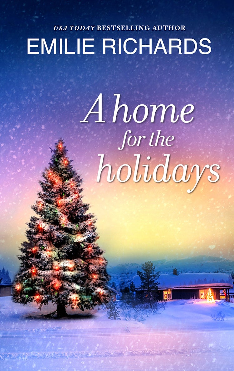 Cover image for A Home For The Holidays, isbn: 9781489299772