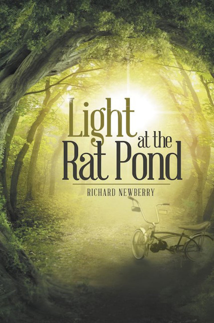 Cover image for Light at the Rat Pond, isbn: 9781490859538