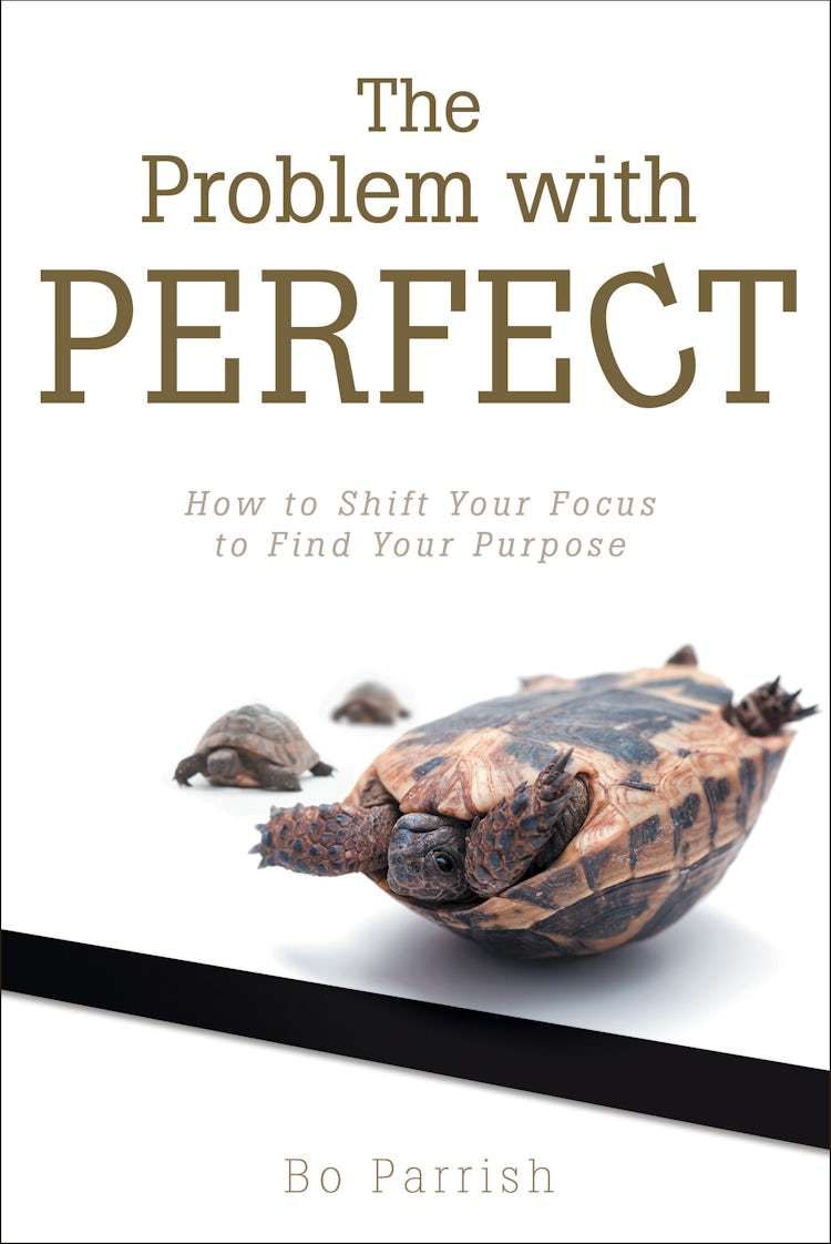 Cover image for The Problem with Perfect, isbn: 9781490863665