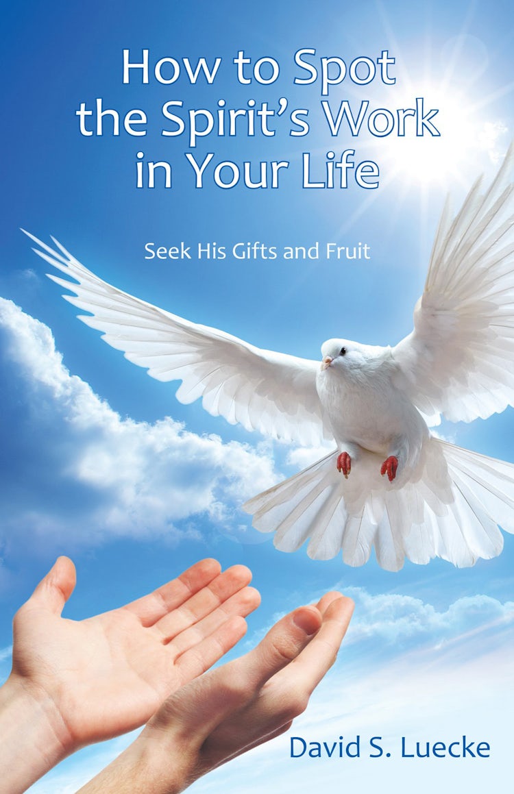 Cover image for How To Spot The Spirit's Work In Your Life: Seek His Gifts And Fruit, isbn: 9781512752748
