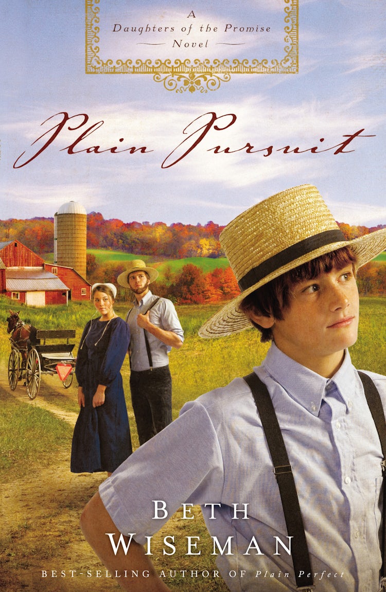 Cover image for Plain Pursuit, isbn: 9781595547194
