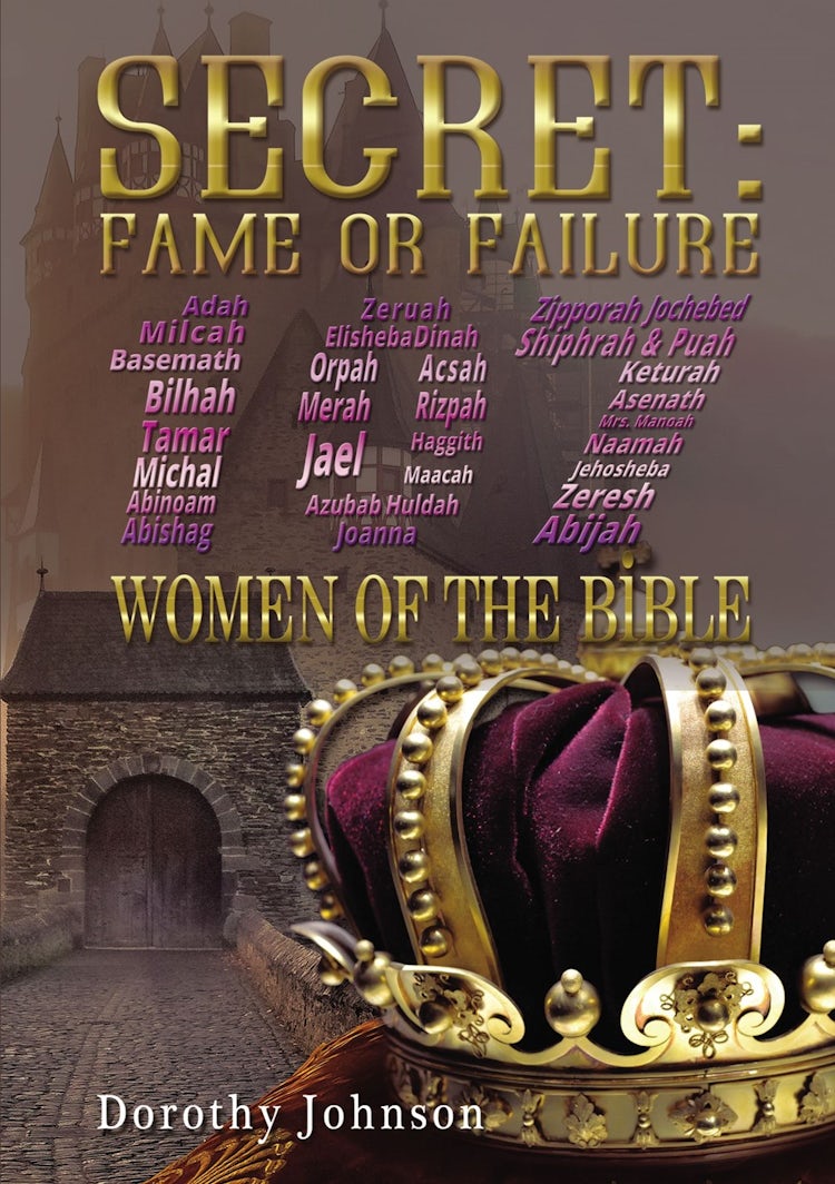 Cover image for Secret: Fame Or Failure, isbn: 9781595558459