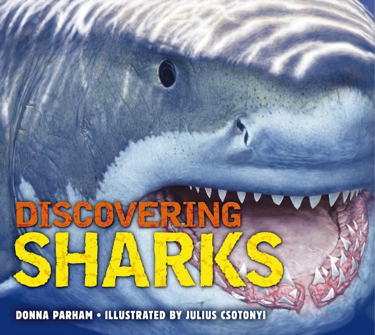Cover image for Discovering Sharks: The Ultimate Guide to the Fiercest Predators in the Ocean Deep, isbn: 9781604336047