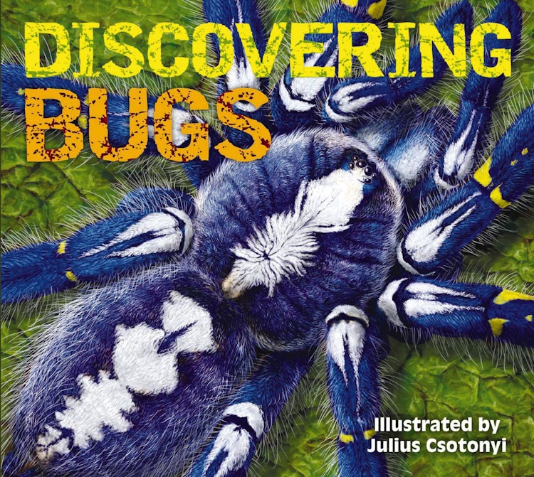 Cover image for Discovering Bugs: Meet the Coolest Creepy Crawlies on the Planet, isbn: 9781604336894