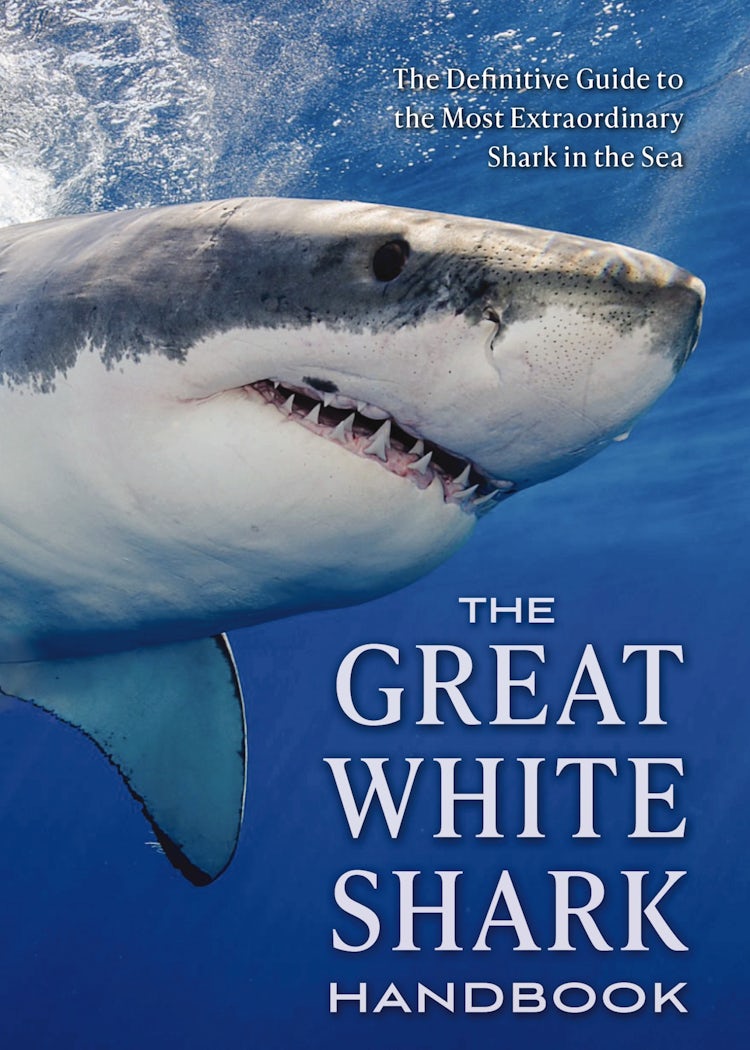 Cover image for Great White Shark Handbook: The Definitive Guide to the Most Extraordinary Shark in the Sea, isbn: 9781604337716