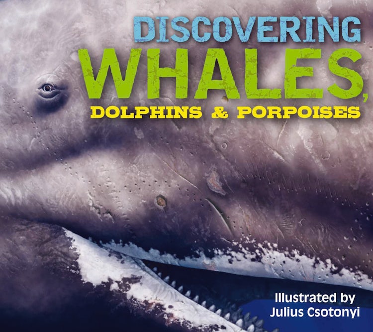 Cover image for Discovering Whales, Dolphins & Porpoises: The Ultimate Guide to the Ocean's Largest Mammals, isbn: 9781604339611