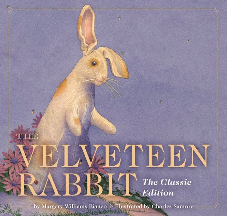 Cover image for Velveteen Rabbit: The Classic Edition, isbn: 9781646431175