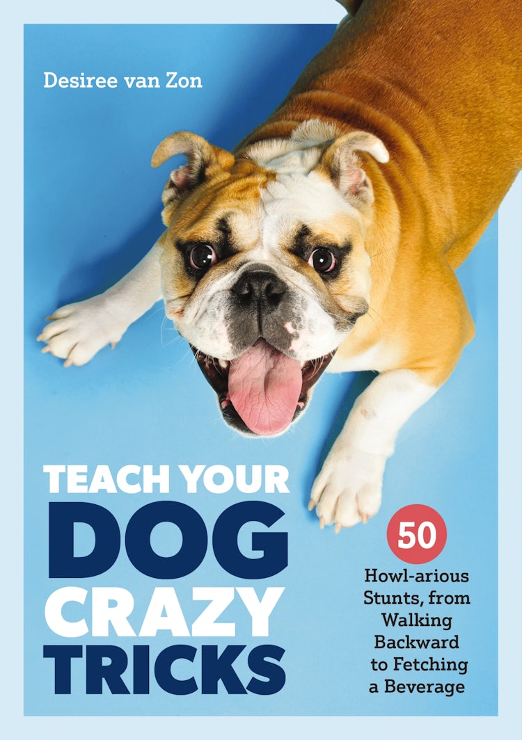 Cover image for Teach Your Dog Crazy Tricks: 50 Howl-arious Stunts From Walking Backwards to Fetching a Beverage, isbn: 9781646431830