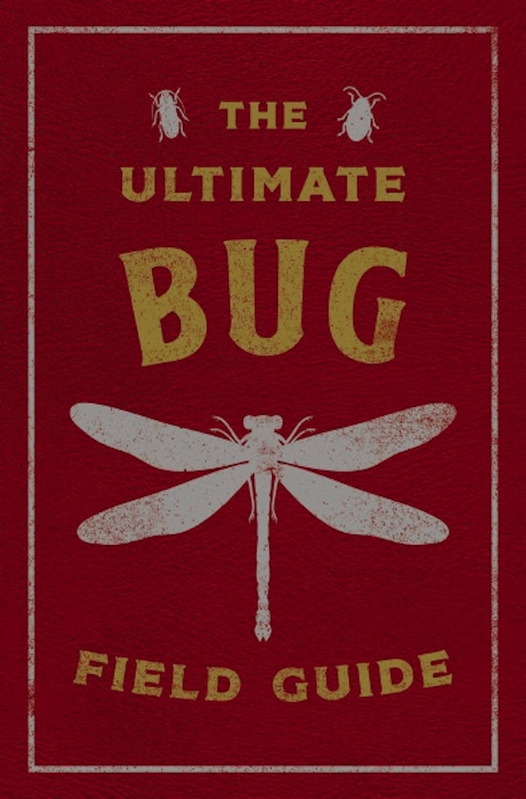 Cover image for The Ultimate Bug Field Guide: The Entomologist's Handbook, isbn: 9781646433384
