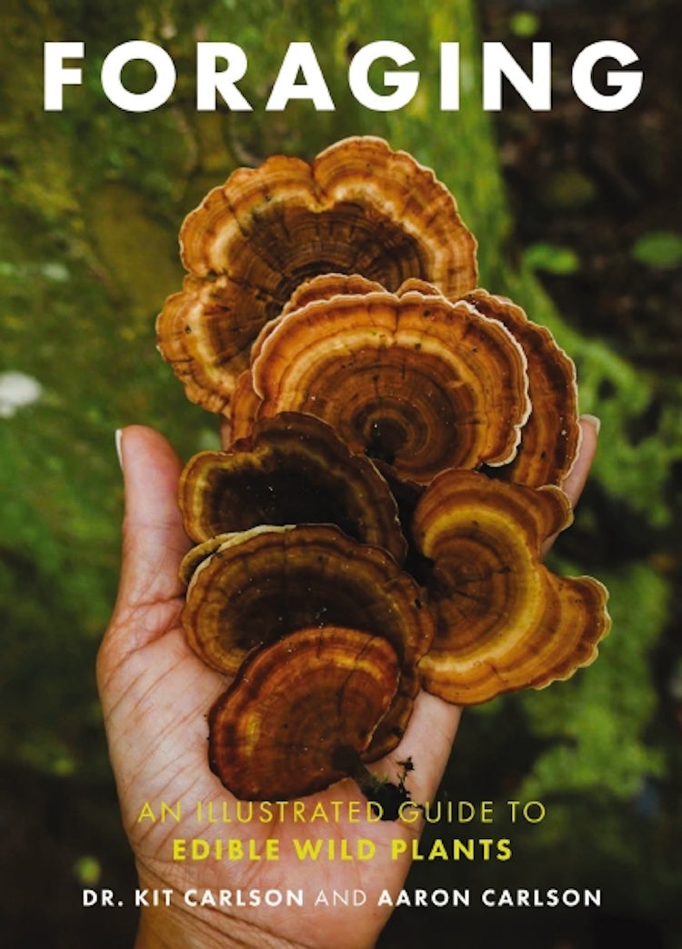 Cover image for Foraging: An Illustrated Guide To Edible Wild Plants, isbn: 9781646433391