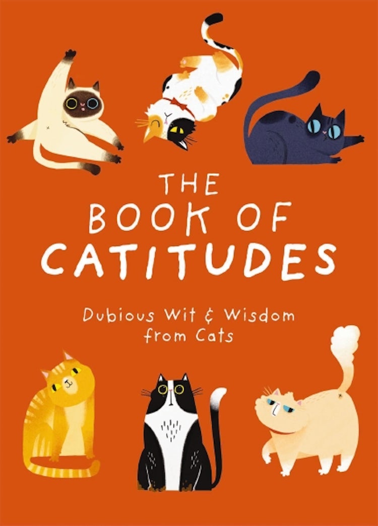 Cover image for Book Of Catitudes: Dubious Wit & Wisdom From Cats, isbn: 9781646433469