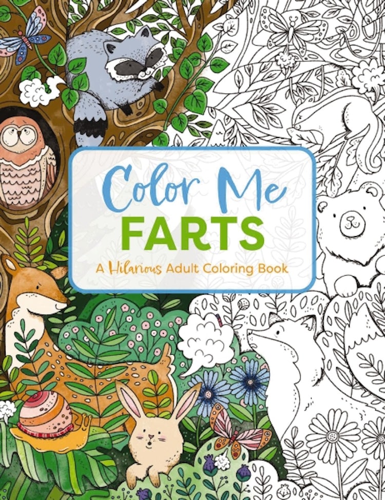 Cover image for Color Me Farts: A Hilarious Adult Coloring Book, isbn: 9781646433513