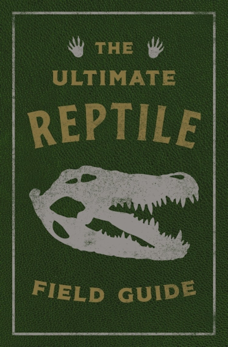 Cover image for The Ultimate Reptile Field Guide: The Herpetologist's Handbook, isbn: 9781646434008