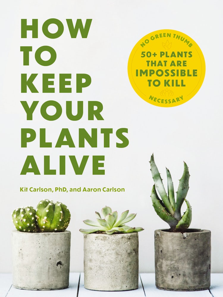 Cover image for How To Keep Your Plants Alive: 50 Plants That Are Impossible to Kill, isbn: 9781646434282