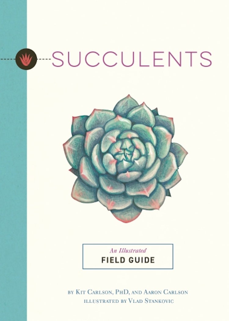 Cover image for Succulents: An Illustrated Field Guide, isbn: 9781646434534