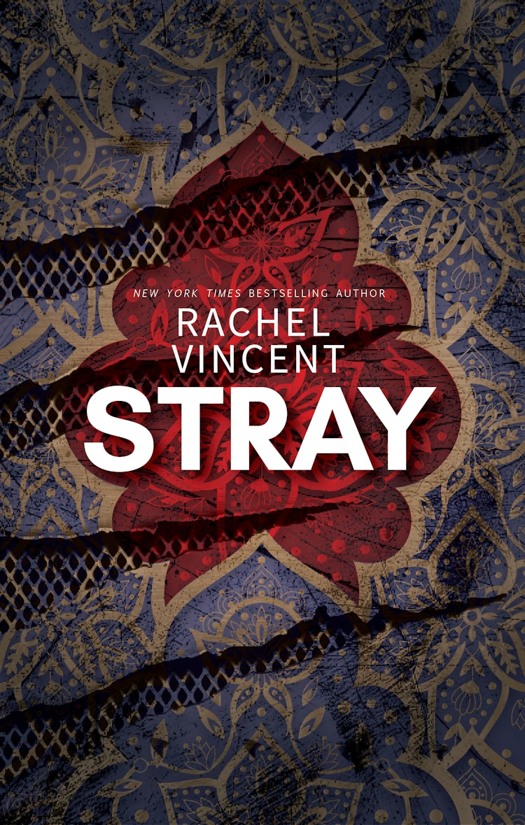 Cover image for Stray, isbn: 9781742787312