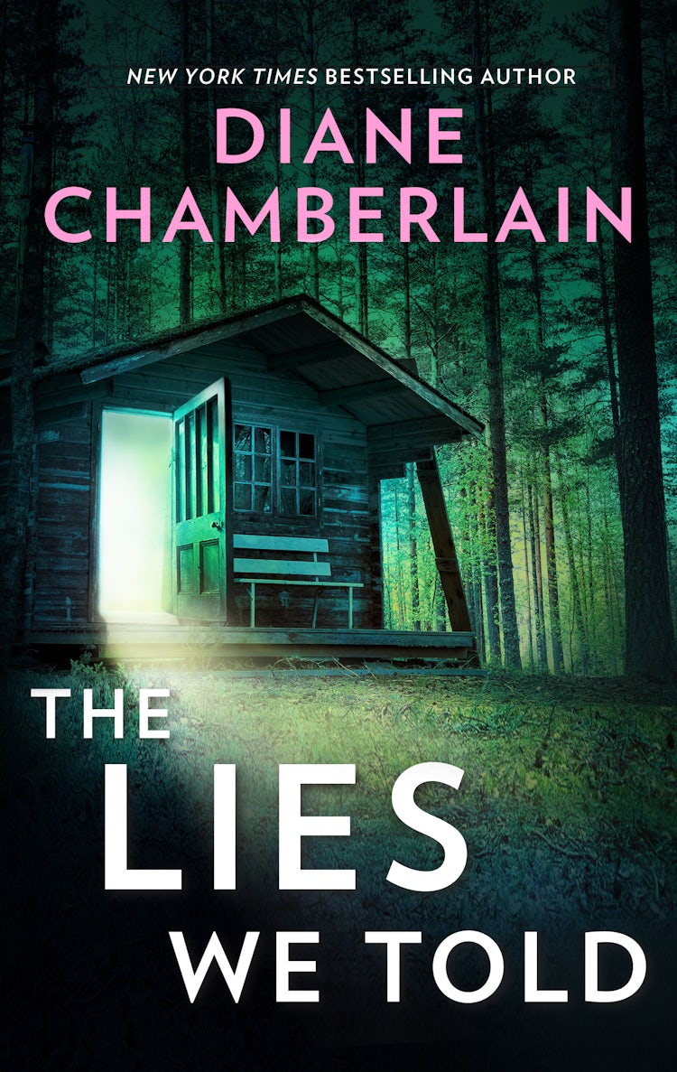Cover image for The Lies We Told, isbn: 9781742787336