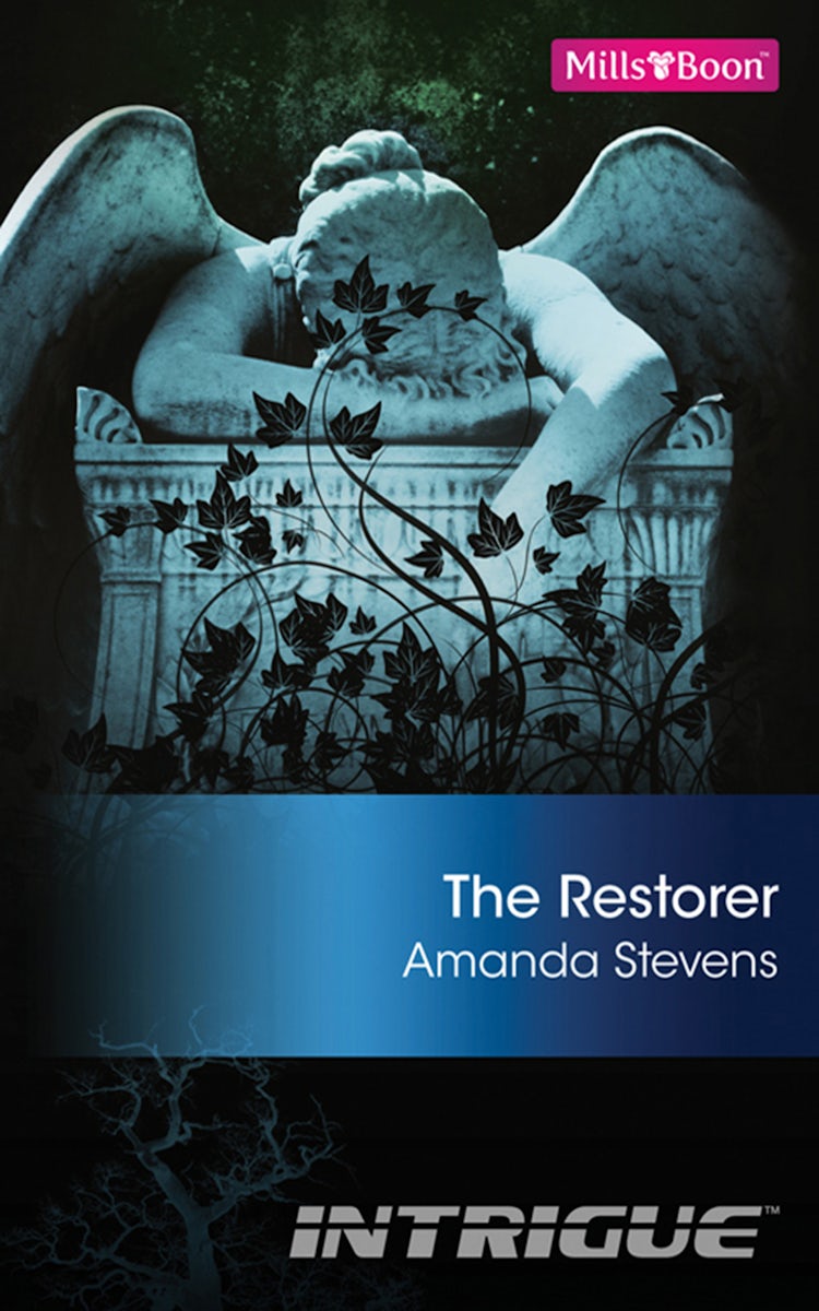 Cover image for The Restorer, isbn: 9781742902289