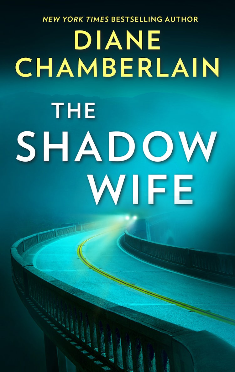 Cover image for The Shadow Wife, isbn: 9781742905938