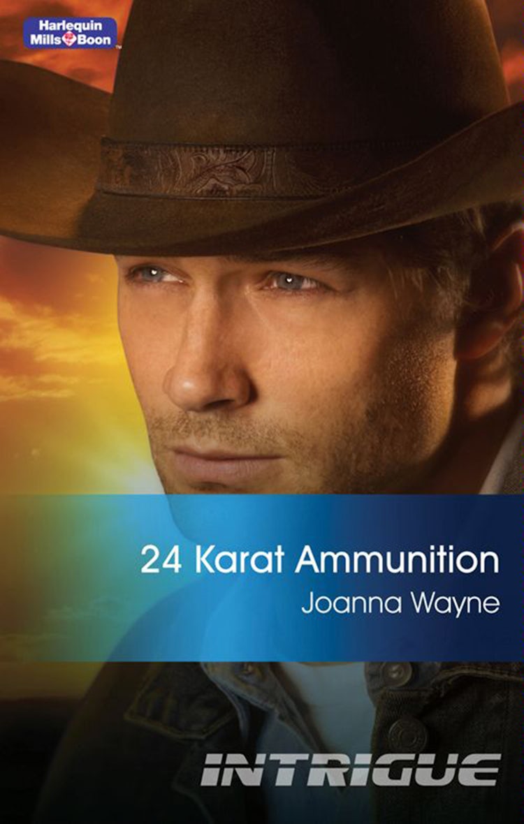 Cover image for 24 Karat Ammunition, isbn: 9781742912363