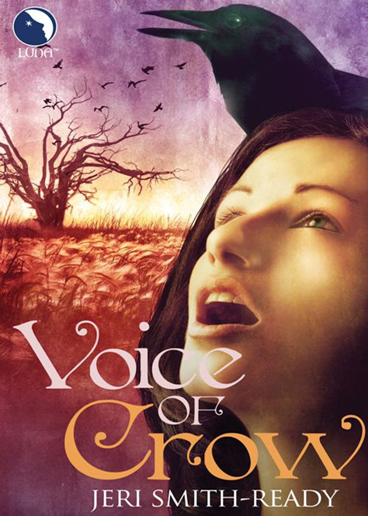 Cover image for Voice Of Crow, isbn: 9781742913421