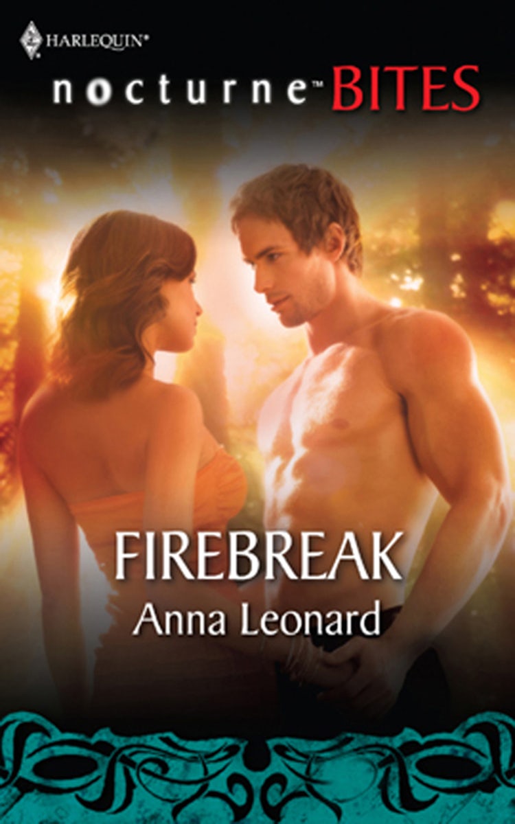 Cover image for Firebreak, isbn: 9781742924717