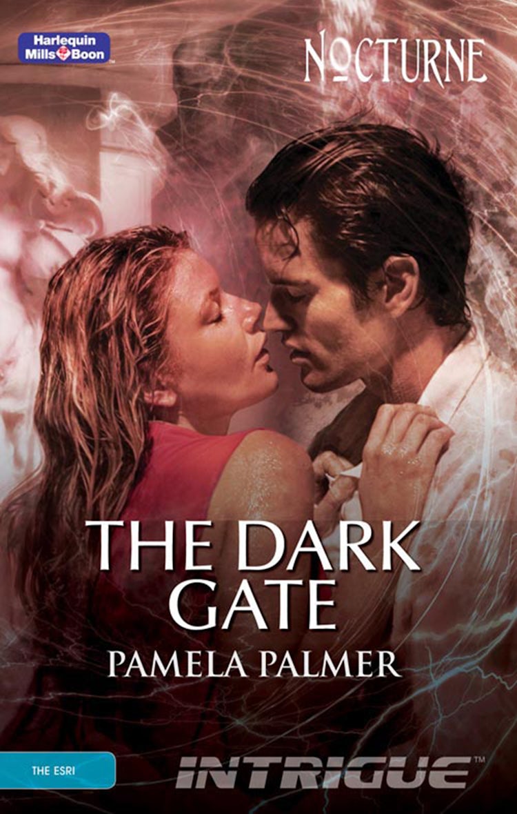 Cover image for The Dark Gate, isbn: 9781742924960