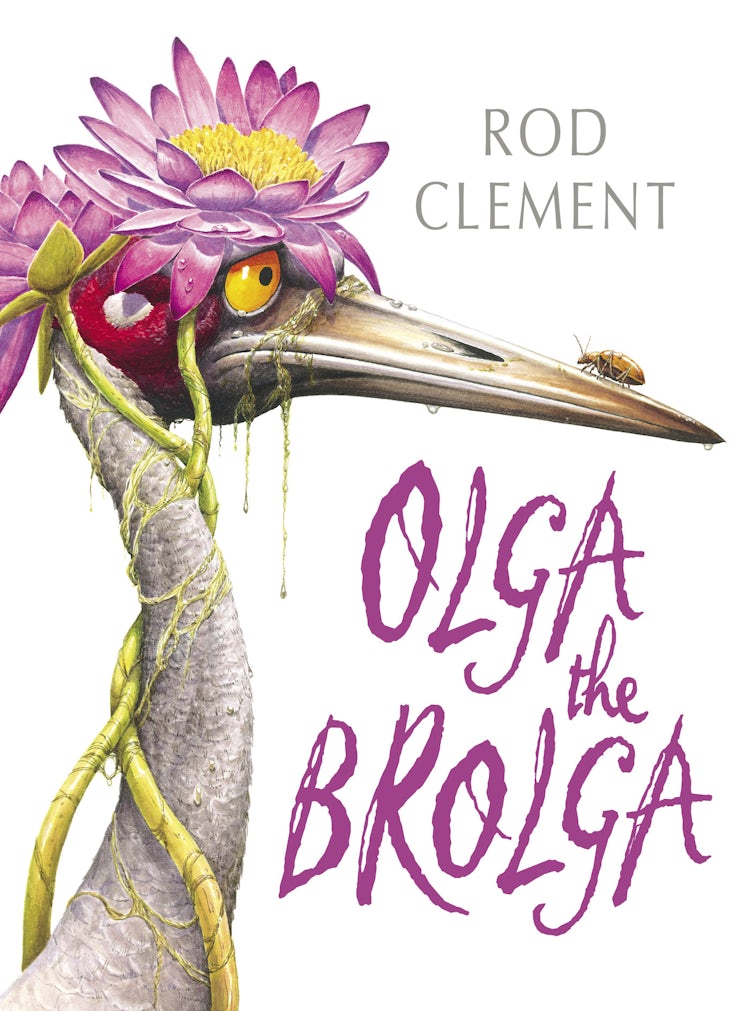 Cover image for Olga the Brolga, isbn: 9781743095508