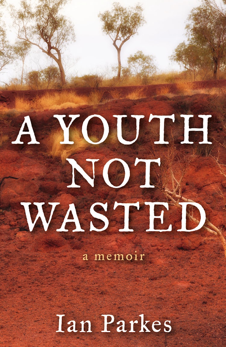 Cover image for A Youth Not Wasted, isbn: 9781743095782