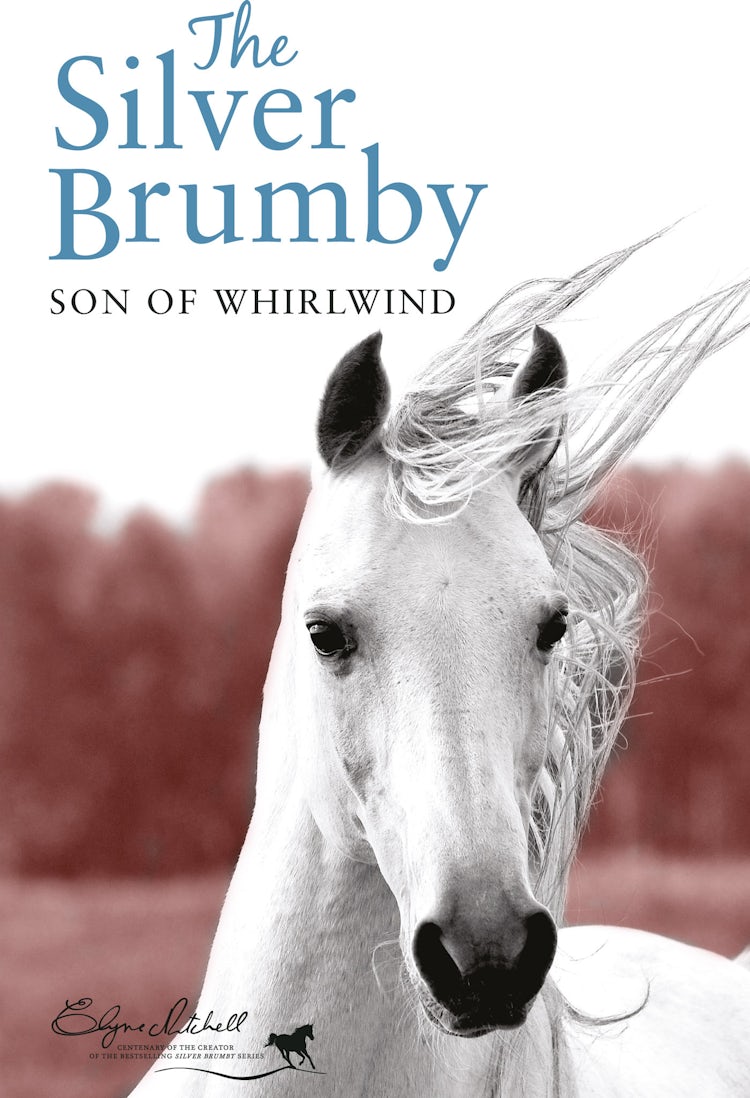Cover image for Son of the Whirlwind, isbn: 9781743097717