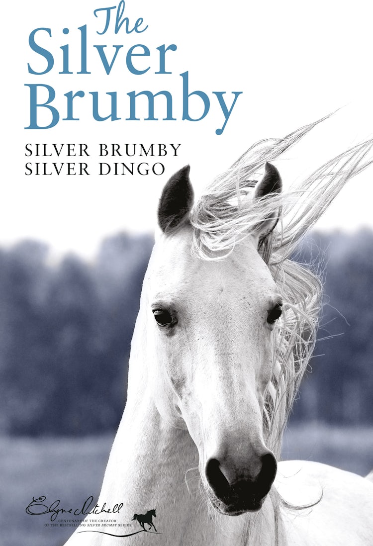 Cover image for Silver Brumby, Silver Dingo, isbn: 9781743097748