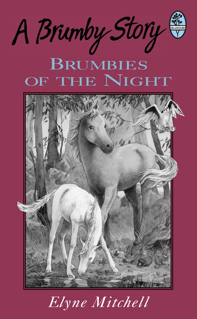 Cover image for Brumbies of the Night, isbn: 9781743097762