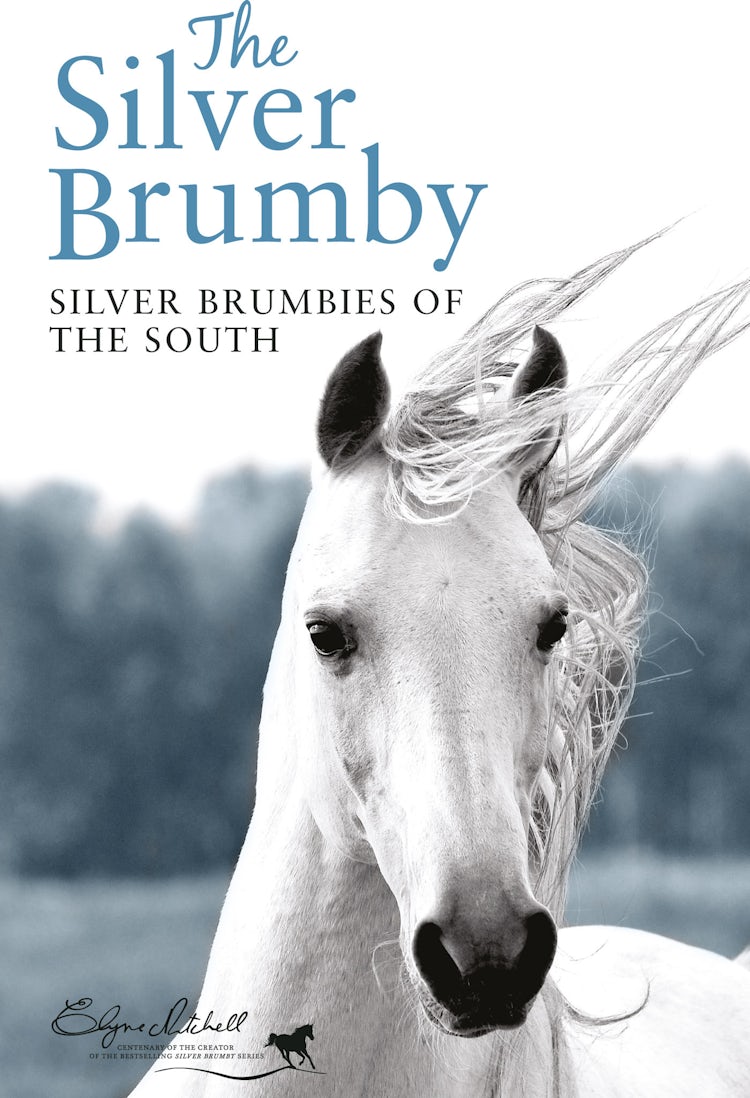 Cover image for Silver Brumbies of the South, isbn: 9781743097878