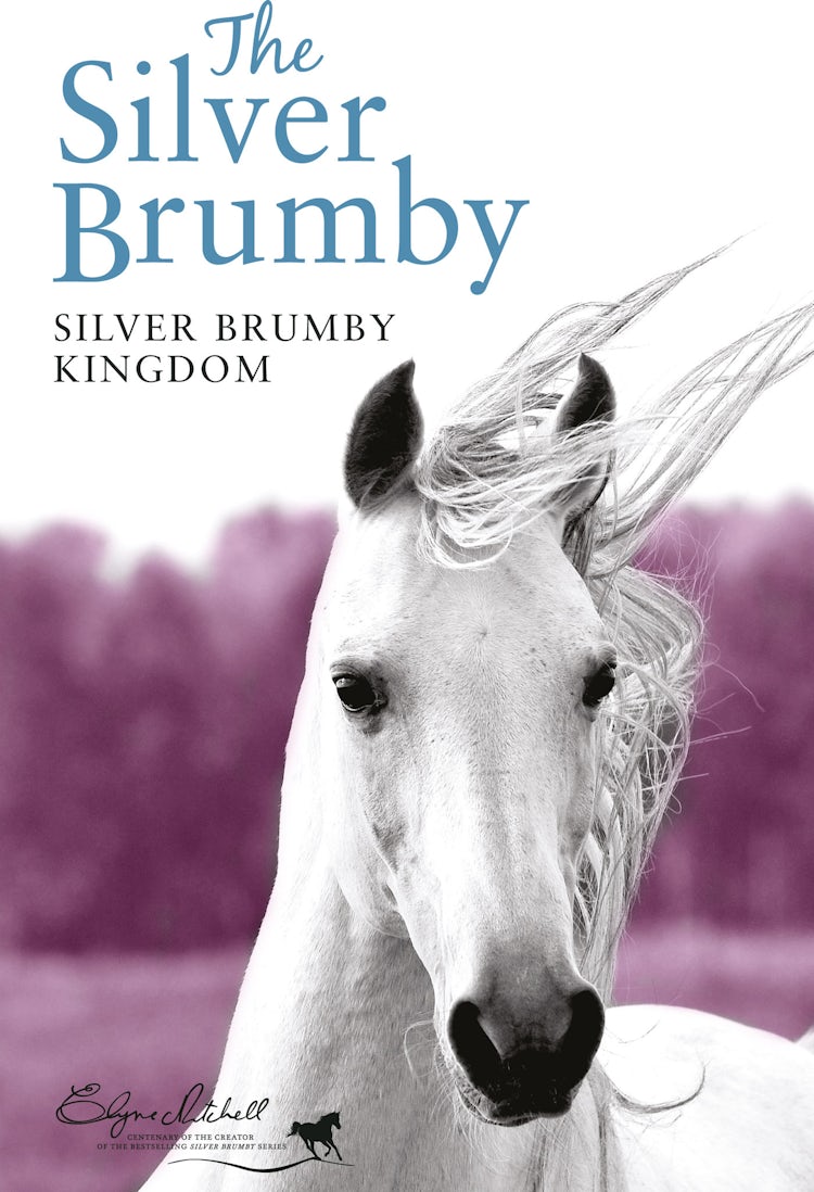 Cover image for Silver Brumby Kingdom, isbn: 9781743097885
