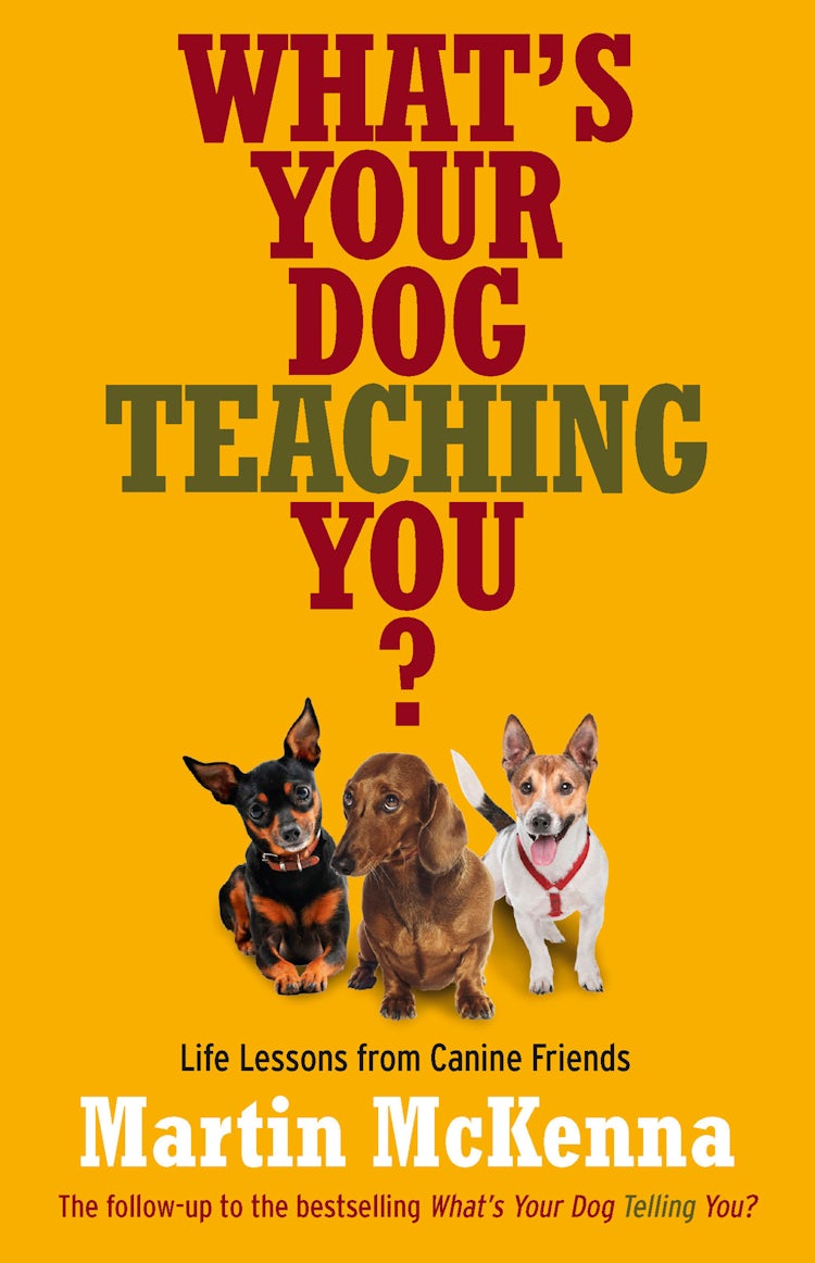 Cover image for What's Your Dog Teaching You?, isbn: 9781743097939