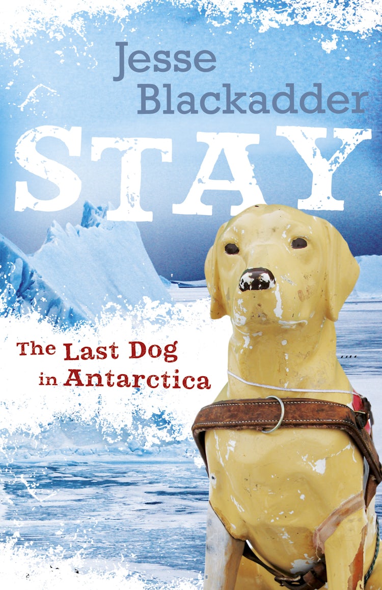 Cover image for Stay: The Last Dog In Antarctica, isbn: 9781743098196