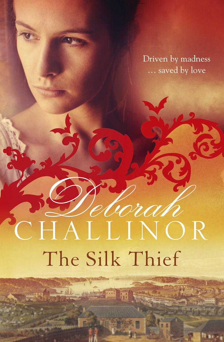Cover image for The Silk Thief, isbn: 9781743099056