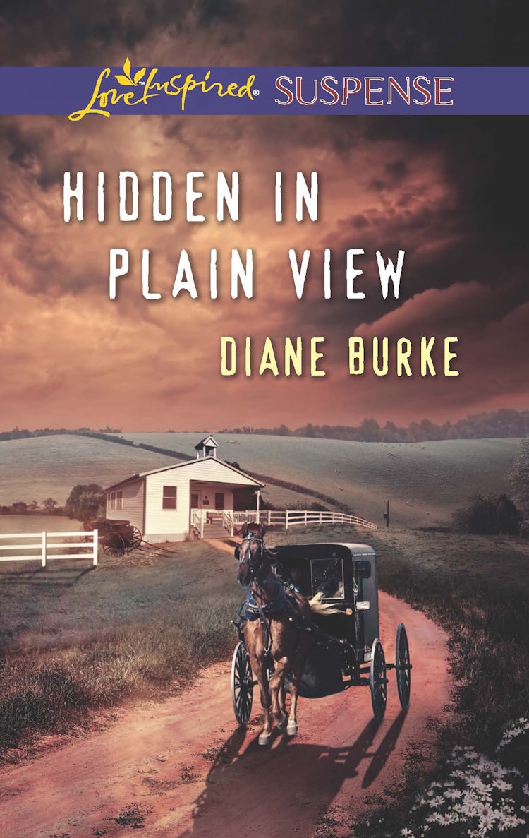Cover image for Hidden In Plain View, isbn: 9781743640203