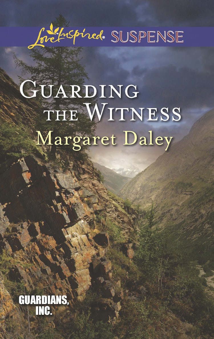Cover image for Guarding The Witness, isbn: 9781743640487