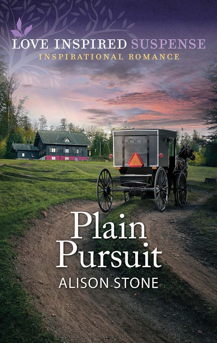 Cover image for Plain Pursuit, isbn: 9781743640500