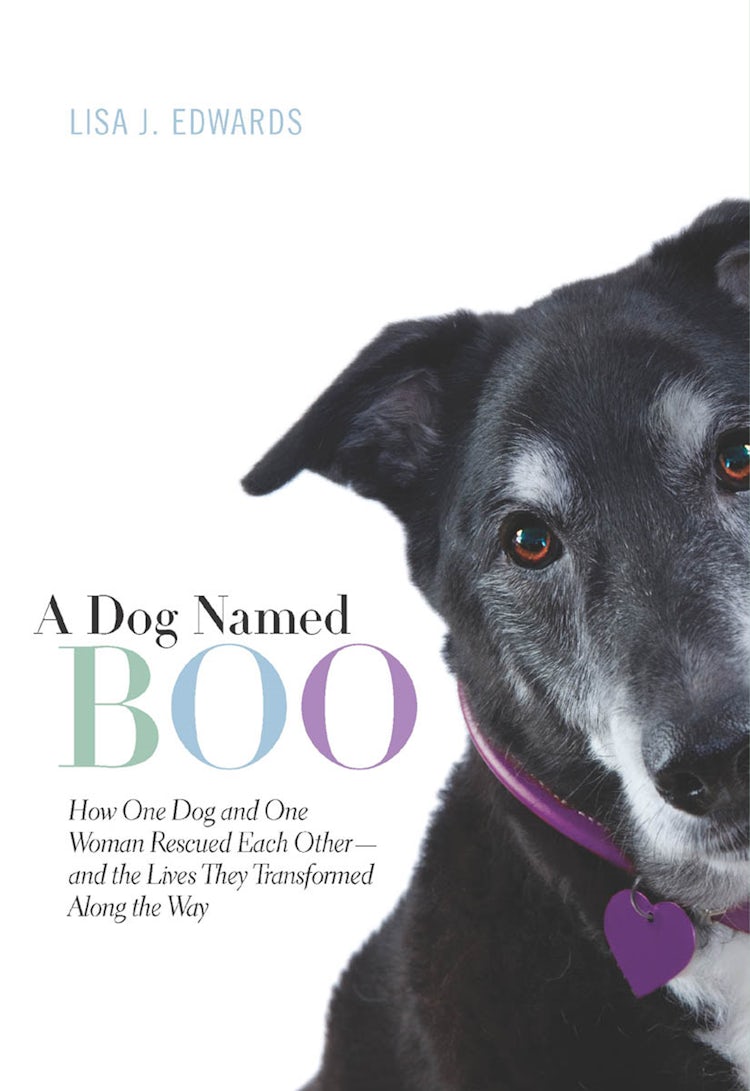 Cover image for A Dog Named Boo, isbn: 9781743642856