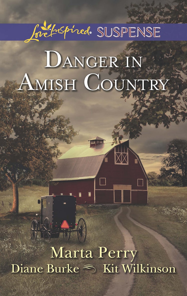 Cover image for Fall From Grace/Dangerous Homecoming/Return To Willow Trace, isbn: 9781743645703