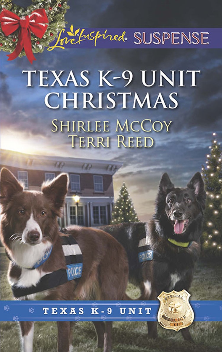 Cover image for Holiday Hero/Rescuing Christmas, isbn: 9781743646434