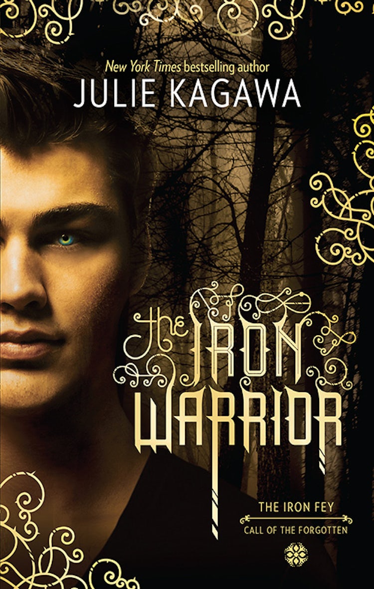 Cover image for THE IRON WARRIOR, isbn: 9781743691304