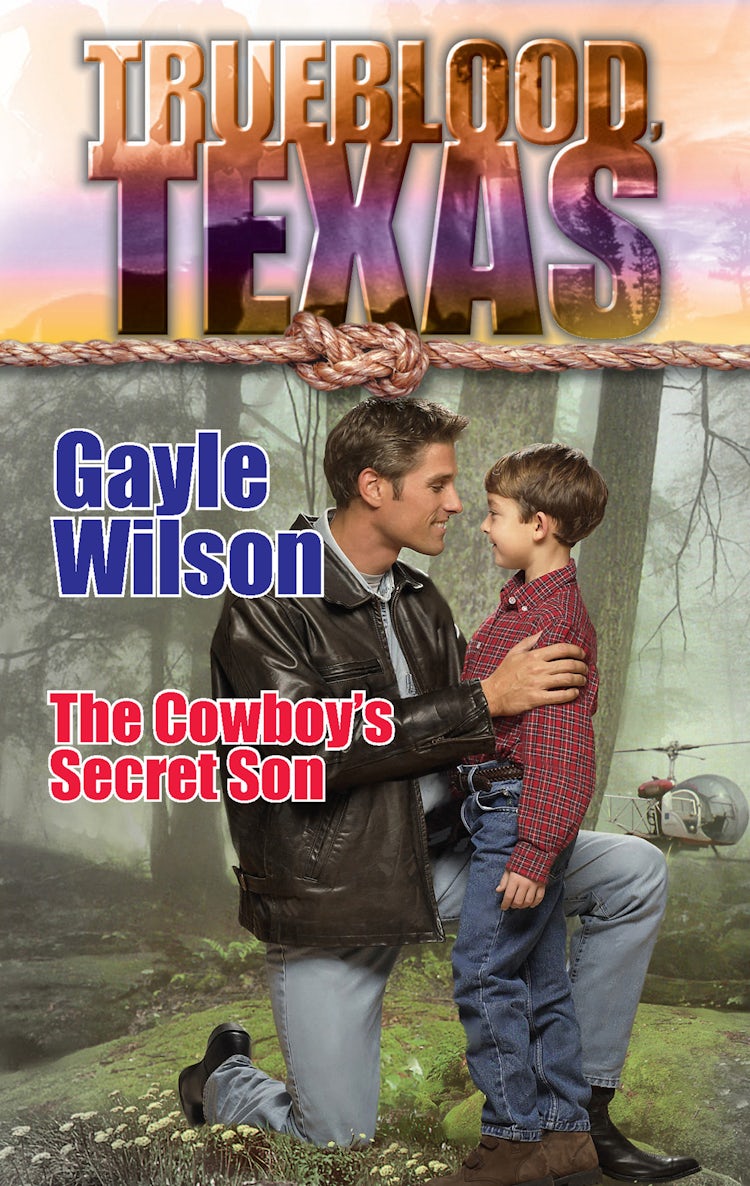Cover image for The Cowboy's Secret Son, isbn: 9781743695043