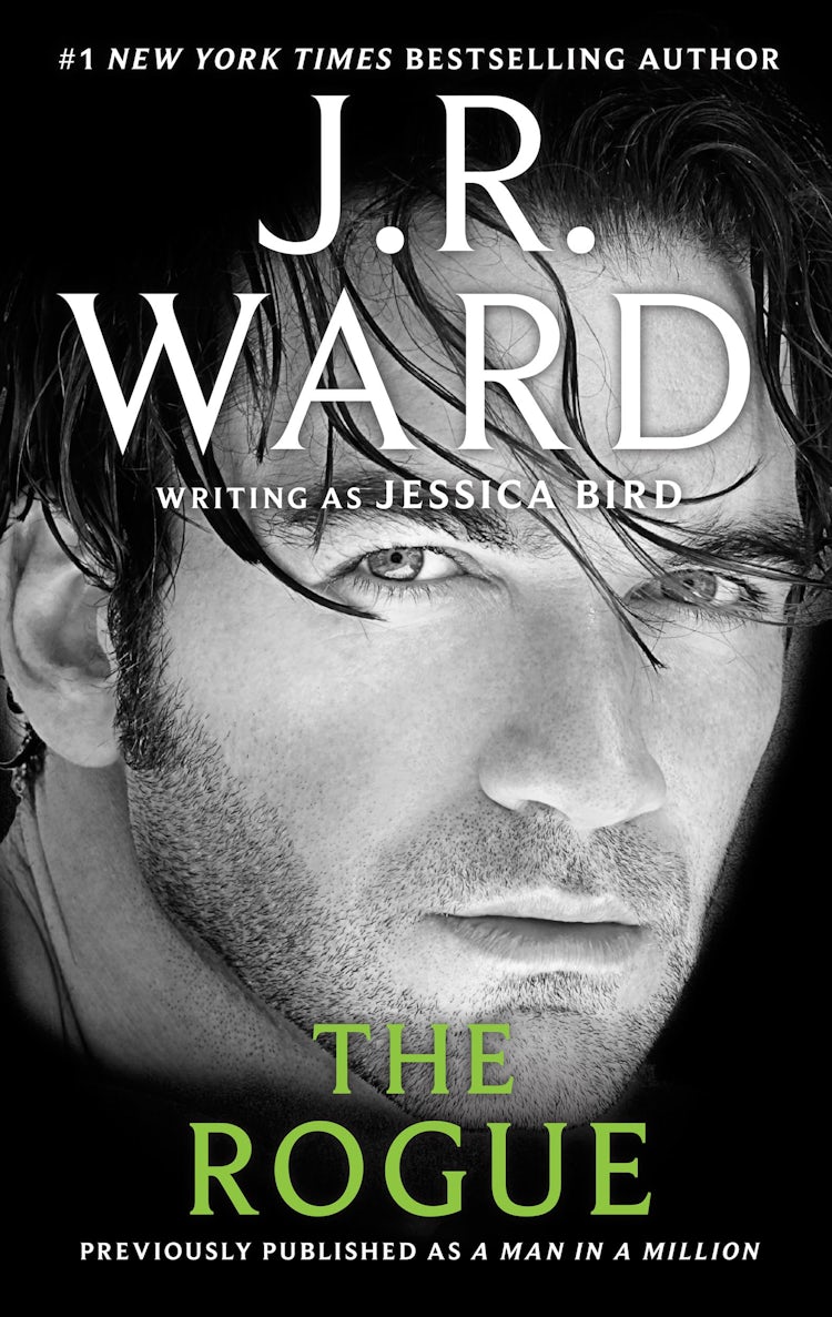 Cover image for The Rogue, isbn: 9781743697399