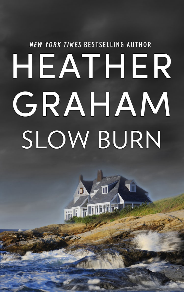 Cover image for Slow Burn, isbn: 9781743697641