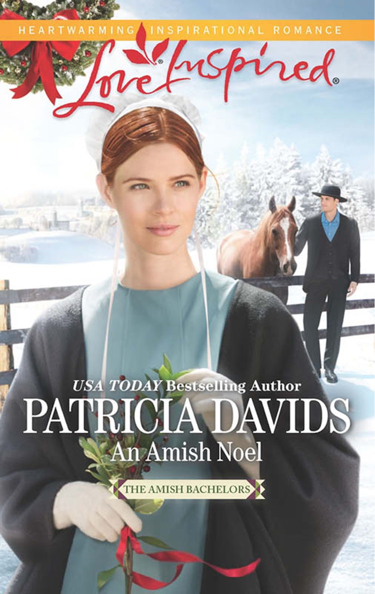 Cover image for An Amish Noel, isbn: 9781760372828