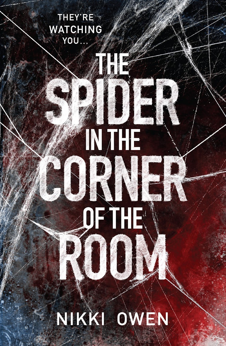 Cover image for The Spider In The Corner Of The Room, isbn: 9781760374358